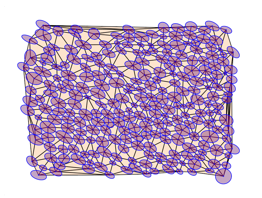 Strain Map